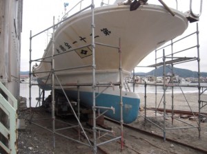 DSCN6426